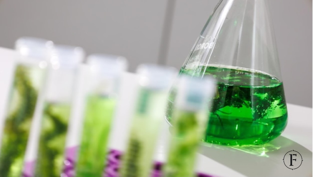 Biosurfactants Market