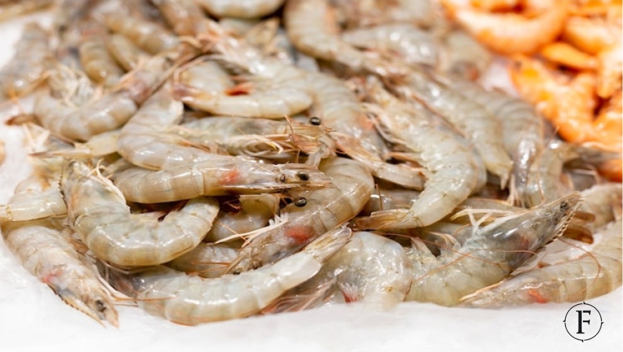 Shrimp Feed Market 